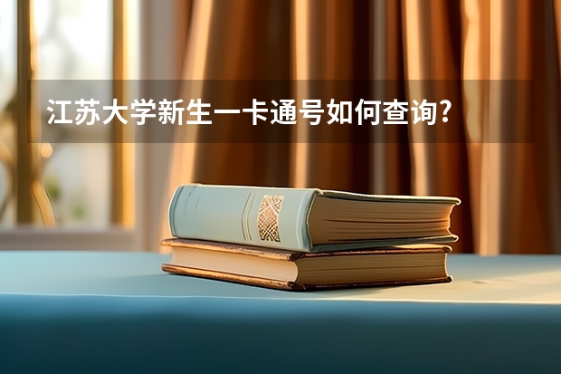 江苏大学新生一卡通号如何查询?
