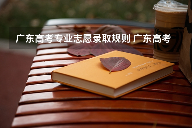 广东高考专业志愿录取规则 广东高考录取规则