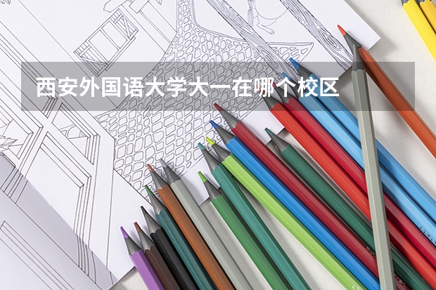 西安外国语大学大一在哪个校区