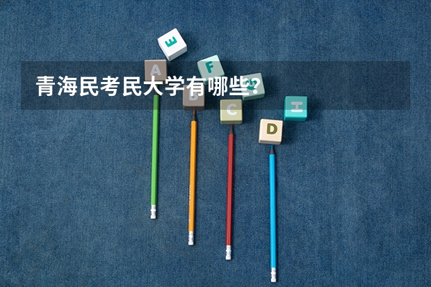 青海民考民大学有哪些？