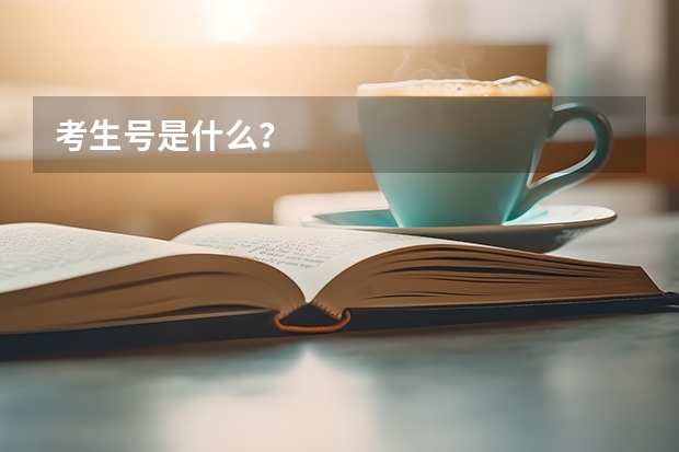 考生号是什么?