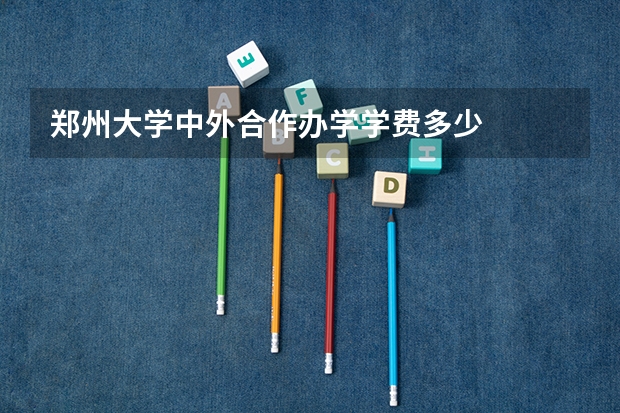 郑州大学中外合作办学学费多少