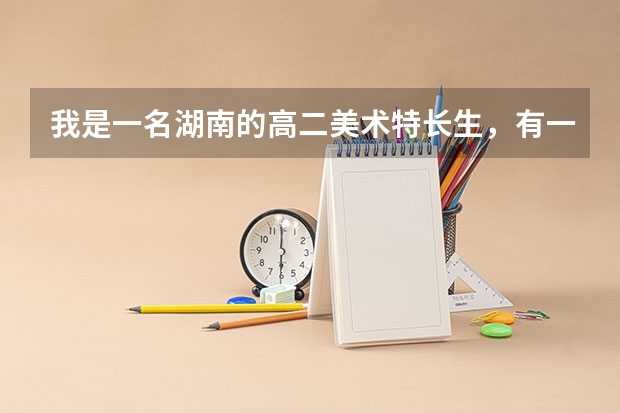 我是一名湖南的高二美术特长生,有一定的美术基础,但是文化现在大概考300分左右,不知道有什么大学适合我
