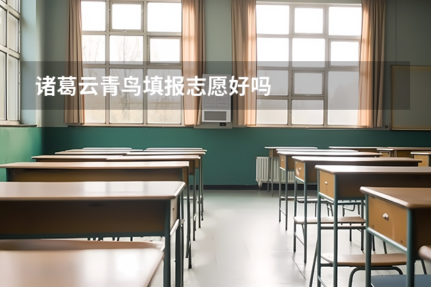 诸葛云青鸟填报志愿好吗
