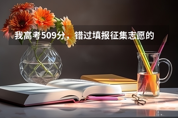 我高考509分,错过填报征集志愿的机会,该怎么办啊???我还可以征集那些学校啊??急急急急!!!!
