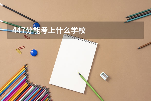 447分能考上什么学校