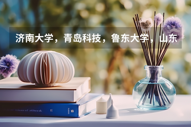 济南大学,青岛科技,鲁东大学,山东理工哪个好