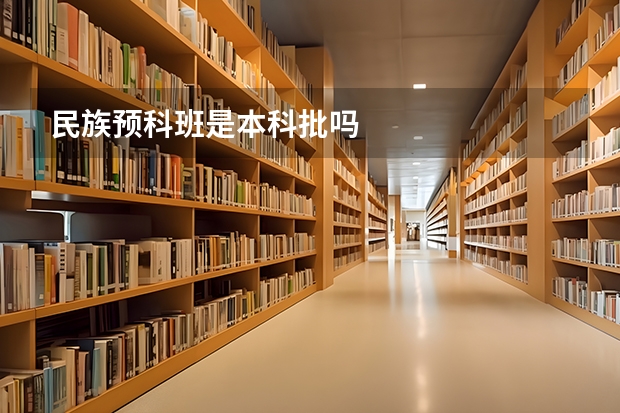 民族预科班是本科批吗