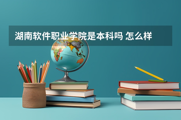 湖南软件职业学院是本科吗 怎么样