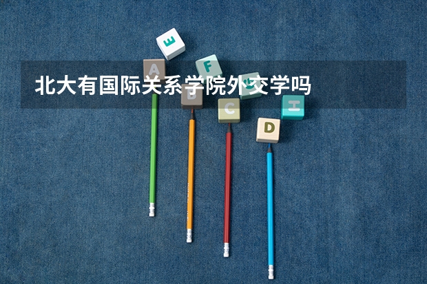北大有国际关系学院外交学吗