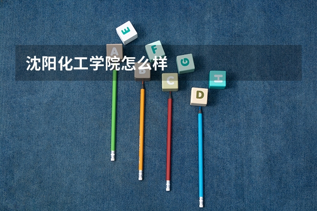 沈阳化工学院怎么样