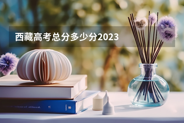 西藏高考总分多少分2023
