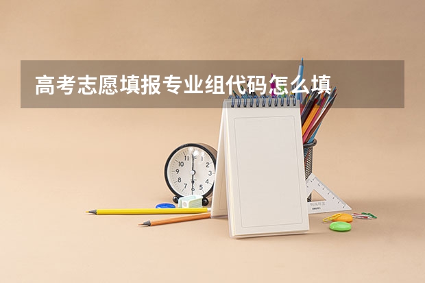 高考志愿填报专业组代码怎么填