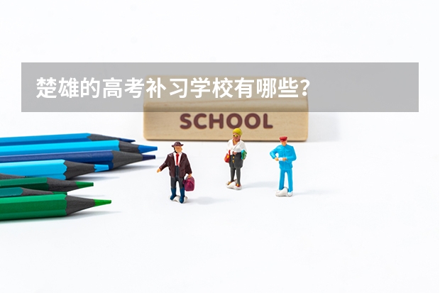 楚雄的高考补习学校有哪些?