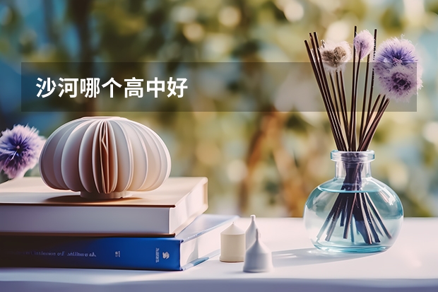 沙河哪个高中好