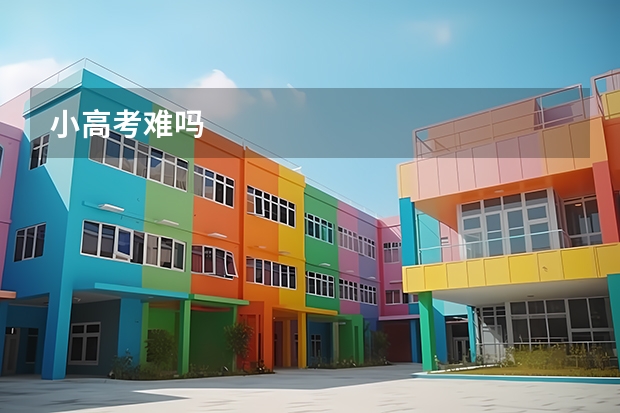 小高考难吗