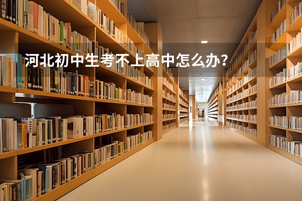 河北初中生考不上高中怎么办？
