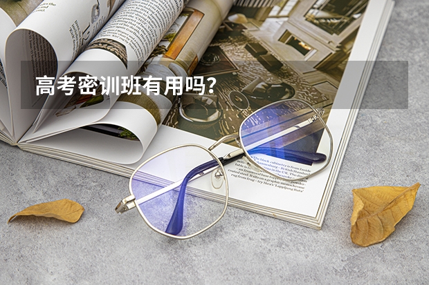 高考密训班有用吗?