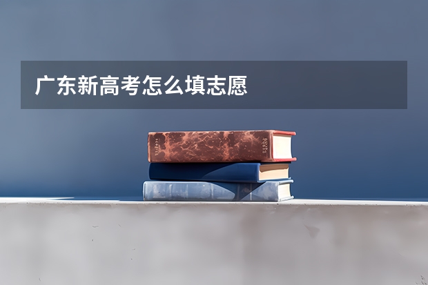 广东新高考怎么填志愿