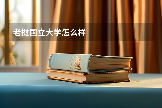 老挝国立大学怎么样