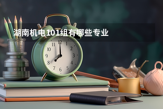 湖南机电101组有哪些专业