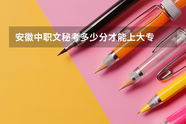 安徽中职文秘考多少分才能上大专