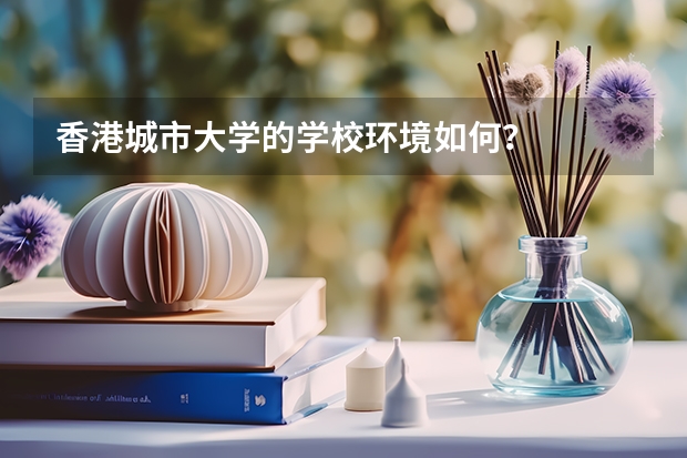 香港城市大学的学校环境如何?