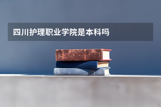 四川护理职业学院是本科吗