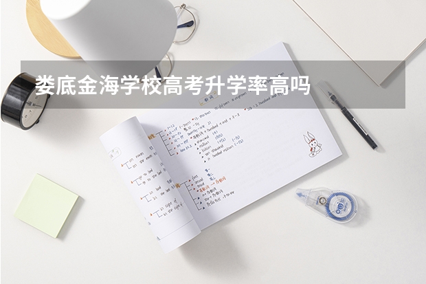 娄底金海学校高考升学率高吗
