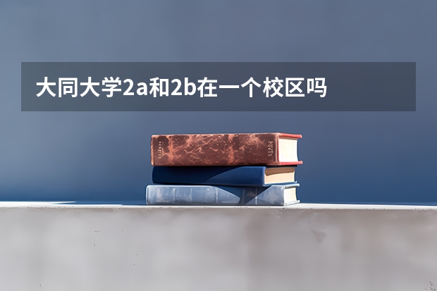 大同大学2a和2b在一个校区吗