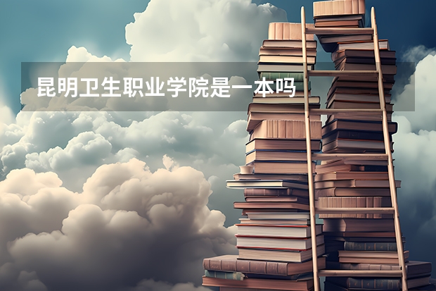 昆明卫生职业学院是一本吗
