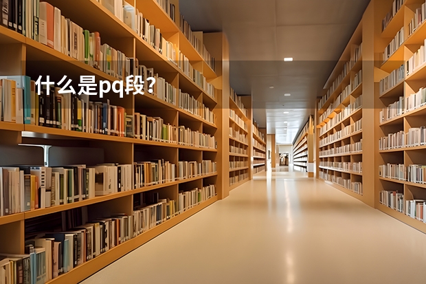 什么是pq段?