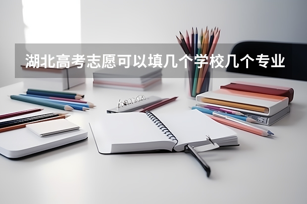 湖北高考志愿可以填几个学校几个专业（院校加专业组的省份）