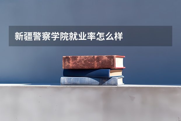 新疆警察学院就业率怎么样