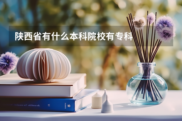 陕西省有什么本科院校有专科