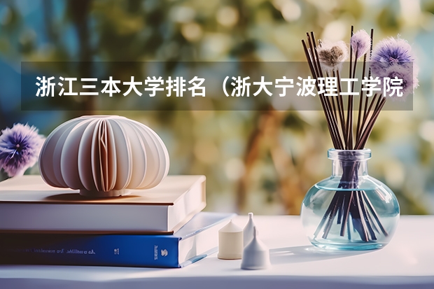 浙江三本大学排名(浙大宁波理工学院含金量)