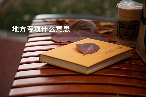 地方专项什么意思
