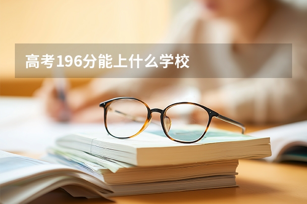 高考196分能上什么学校