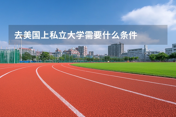 去美国上私立大学需要什么条件