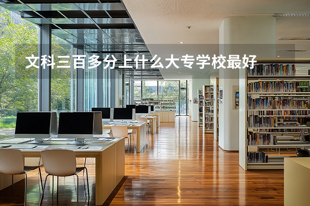 文科三百多分上什么大专学校最好