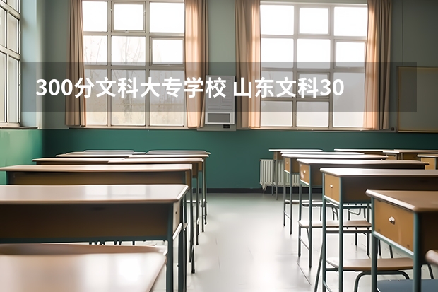300分文科大专学校 山东文科300分左右的公办大专