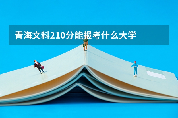 青海文科210分能报考什么大学