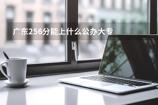 广东256分能上什么公办大专