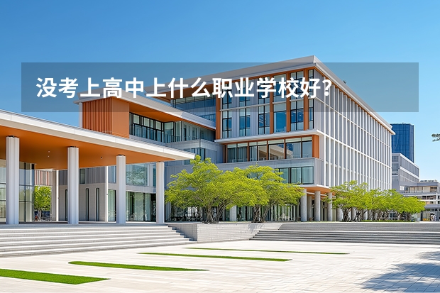 没考上高中.上什么职业学校好？