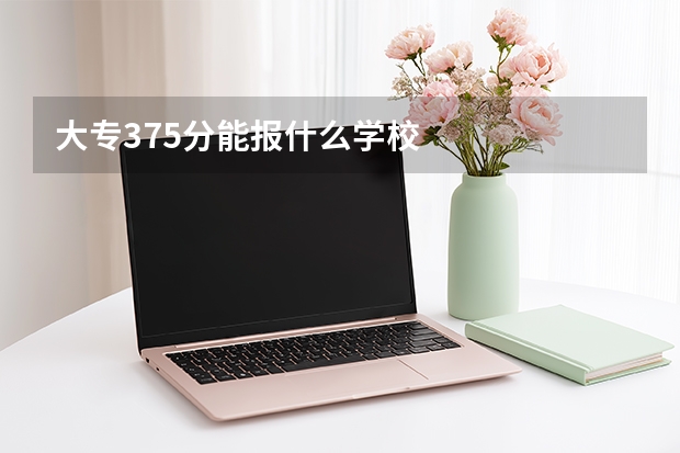 大专375分能报什么学校