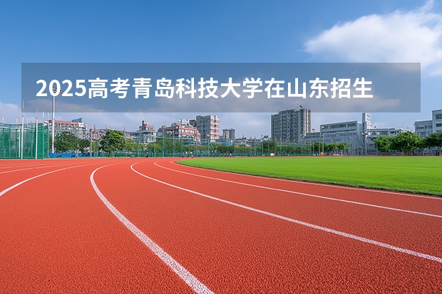 2025高考青岛科技大学在山东招生专业有哪些 学费多少？
