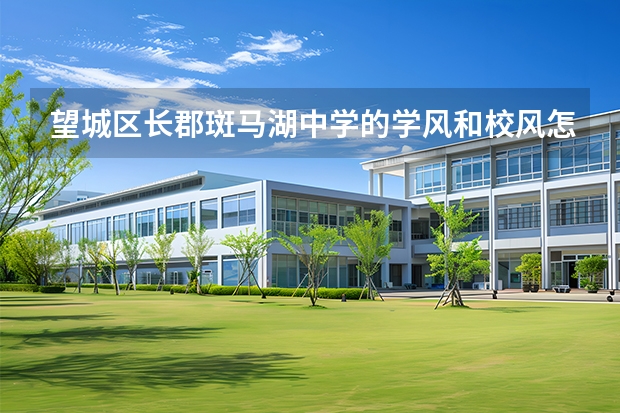 望城区长郡斑马湖中学的学风和校风怎么样？