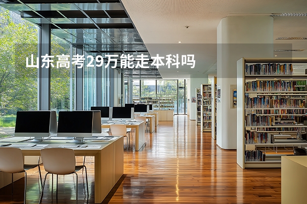 山东高考29万能走本科吗