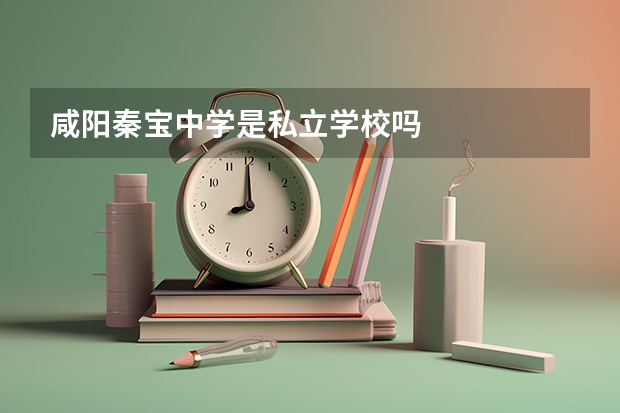 咸阳秦宝中学是私立学校吗