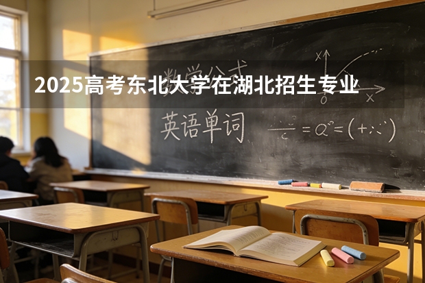 2025高考东北大学在湖北招生专业有哪些 学费多少（2026参考）